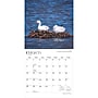 2027 BrownTrout Missouri Wild & Scenic 12" x 12" Monthly Wall Calendar (9798330710706)~#|#~sp320834649_sc7