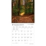 2027 BrownTrout Missouri Wild & Scenic 12" x 12" Monthly Wall Calendar (9798330710706)~#|#~sp320834650_sc7