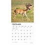 2027 BrownTrout Monster Bucks 12" x 12" Monthly Wall Calendar (9798330712083)~#|#~sp320835528_sc7