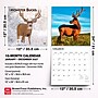 2027 BrownTrout Monster Bucks 12" x 12" Monthly Wall Calendar (9798330712083)~#|#~sp320835531_sc7