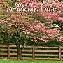 2027 BrownTrout Kentucky Places 12" x 12" Monthly Wall Calendar (9798330714391)~#|#~sp320837409_sc7
