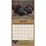 2027 BrownTrout Mossy Oak Gamekeeper 12" x 12" Monthly Wall Calendar (9798330713363)~#|#~sp320837657_sc7