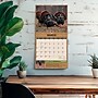 2027 BrownTrout Mossy Oak Gamekeeper 12" x 12" Monthly Wall Calendar (9798330713363)~#|#~sp320837659_sc7
