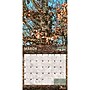 2027 BrownTrout Mossy Oak American Camo 12" x 12" Monthly Wall Calendar (9798330713356)~#|#~sp320837838_sc7