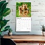 2027 BrownTrout Yorkshire Terriers 12" x 12" Monthly Wall Calendar (9798330712731)~#|#~sp320845787_sc7