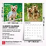 2027 BrownTrout Yorkshire Terriers 12" x 12" Monthly Wall Calendar (9798330712731)~#|#~sp320845789_sc7