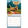 2027 BrownTrout Zen Cows 12" x 12" Monthly Wall Calendar (9798330715312)~#|#~sp320846341_sc7