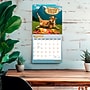 2027 BrownTrout Zen Cows 12" x 12" Monthly Wall Calendar (9798330715312)~#|#~sp320846347_sc7