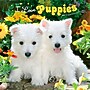 2027 BrownTrout I Love Puppies 12" x 12" Monthly Wall Calendar (9798330711833)~#|#~sp320848209_sc7