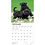 2027 BrownTrout I Love Puppies 12" x 12" Monthly Wall Calendar (9798330711833)~#|#~sp320848212_sc7