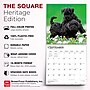 2027 BrownTrout I Love Puppies 12" x 12" Monthly Wall Calendar (9798330711833)~#|#~sp320848216_sc7