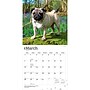 2027 BrownTrout Pugs 12" x 12" Monthly Wall Calendar (9798330712601)~#|#~sp320848285_sc7