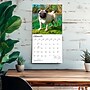 2027 BrownTrout Pugs 12" x 12" Monthly Wall Calendar (9798330712601)~#|#~sp320848287_sc7