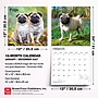 2027 BrownTrout Pugs 12" x 12" Monthly Wall Calendar (9798330712601)~#|#~sp320848289_sc7