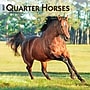 2027 BrownTrout Quarter Horses 12" x 12" Monthly Wall Calendar (9798330712014)~#|#~sp320849344_sc7