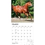 2027 BrownTrout Quarter Horses 12" x 12" Monthly Wall Calendar (9798330712014)~#|#~sp320849346_sc7