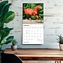 2027 BrownTrout Quarter Horses 12" x 12" Monthly Wall Calendar (9798330712014)~#|#~sp320849348_sc7