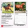 2027 BrownTrout Quarter Horses 12" x 12" Monthly Wall Calendar (9798330712014)~#|#~sp320849351_sc7