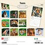 2027 BrownTrout Tigers 12" x 12" Monthly Wall Calendar (9798330712120)~#|#~sp320849979_sc7