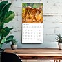 2027 BrownTrout Tigers 12" x 12" Monthly Wall Calendar (9798330712120)~#|#~sp320849990_sc7