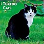 2027 BrownTrout Tuxedo Cats 12" x 12" Monthly Wall Calendar (9798330711826)~#|#~sp320851060_sc7