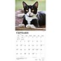 2027 BrownTrout Tuxedo Cats 12" x 12" Monthly Wall Calendar (9798330711826)~#|#~sp320851067_sc7