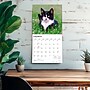 2027 BrownTrout Tuxedo Cats 12" x 12" Monthly Wall Calendar (9798330711826)~#|#~sp320851068_sc7