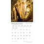 2027 BrownTrout Utah National Parks & Monuments 12" x 12" Monthly Wall Calendar (9798330710928)~#|#~sp320851809_sc7