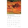 2027 BrownTrout Virginia Wild & Scenic 12" x 12" Monthly Wall Calendar (9798330710959)~#|#~sp320852974_sc7