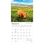 2027 BrownTrout Scotland 12" x 12" Monthly Wall Calendar (9798330711109)~#|#~sp320855289_sc7