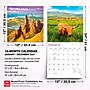 2027 BrownTrout Scotland 12" x 12" Monthly Wall Calendar (9798330711109)~#|#~sp320855293_sc7