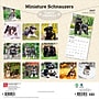 2027 BrownTrout Miniature Schnauzers 12" x 12" Monthly Wall Calendar (9798330712656)~#|#~sp320855558_sc7