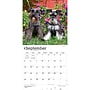 2027 BrownTrout Miniature Schnauzers 12" x 12" Monthly Wall Calendar (9798330712656)~#|#~sp320855568_sc7