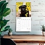 2027 BrownTrout Miniature Schnauzers 12" x 12" Monthly Wall Calendar (9798330712656)~#|#~sp320855571_sc7