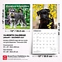 2027 BrownTrout Miniature Schnauzers 12" x 12" Monthly Wall Calendar (9798330712656)~#|#~sp320855577_sc7