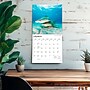 2027 BrownTrout Sharks 12" x 12" Monthly Wall Calendar (9798330712106)~#|#~sp320855766_sc7