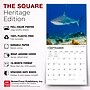 2027 BrownTrout Sharks 12" x 12" Monthly Wall Calendar (9798330712106)~#|#~sp320855767_sc7