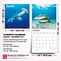 2027 BrownTrout Sharks 12" x 12" Monthly Wall Calendar (9798330712106)~#|#~sp320855768_sc7