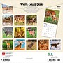 2027 BrownTrout White Tailed Deer 12" x 12" Monthly Wall Calendar (9798330712137)~#|#~sp320855913_sc7
