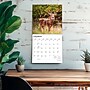 2027 BrownTrout White Tailed Deer 12" x 12" Monthly Wall Calendar (9798330712137)~#|#~sp320855924_sc7