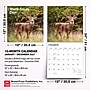 2027 BrownTrout White Tailed Deer 12" x 12" Monthly Wall Calendar (9798330712137)~#|#~sp320855926_sc7