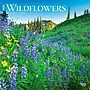2027 BrownTrout Wildflowers 12" x 12" Monthly Wall Calendar (9798330711369)~#|#~sp320856021_sc7