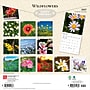 2027 BrownTrout Wildflowers 12" x 12" Monthly Wall Calendar (9798330711369)~#|#~sp320856022_sc7