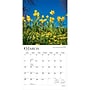 2027 BrownTrout Wildflowers 12" x 12" Monthly Wall Calendar (9798330711369)~#|#~sp320856023_sc7