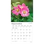 2027 BrownTrout Wildflowers 12" x 12" Monthly Wall Calendar (9798330711369)~#|#~sp320856024_sc7