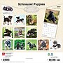 2027 BrownTrout Schnauzer Puppies 12" x 12" Monthly Wall Calendar (9798330714490)~#|#~sp320856118_sc7