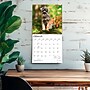 2027 BrownTrout Schnauzer Puppies 12" x 12" Monthly Wall Calendar (9798330714490)~#|#~sp320856140_sc7