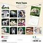 2027 BrownTrout White Tigers 12" x 12" Monthly Wall Calendar (9798330712144)~#|#~sp320856192_sc7