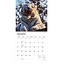 2027 BrownTrout White Tigers 12" x 12" Monthly Wall Calendar (9798330712144)~#|#~sp320856207_sc7