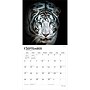 2027 BrownTrout White Tigers 12" x 12" Monthly Wall Calendar (9798330712144)~#|#~sp320856217_sc7